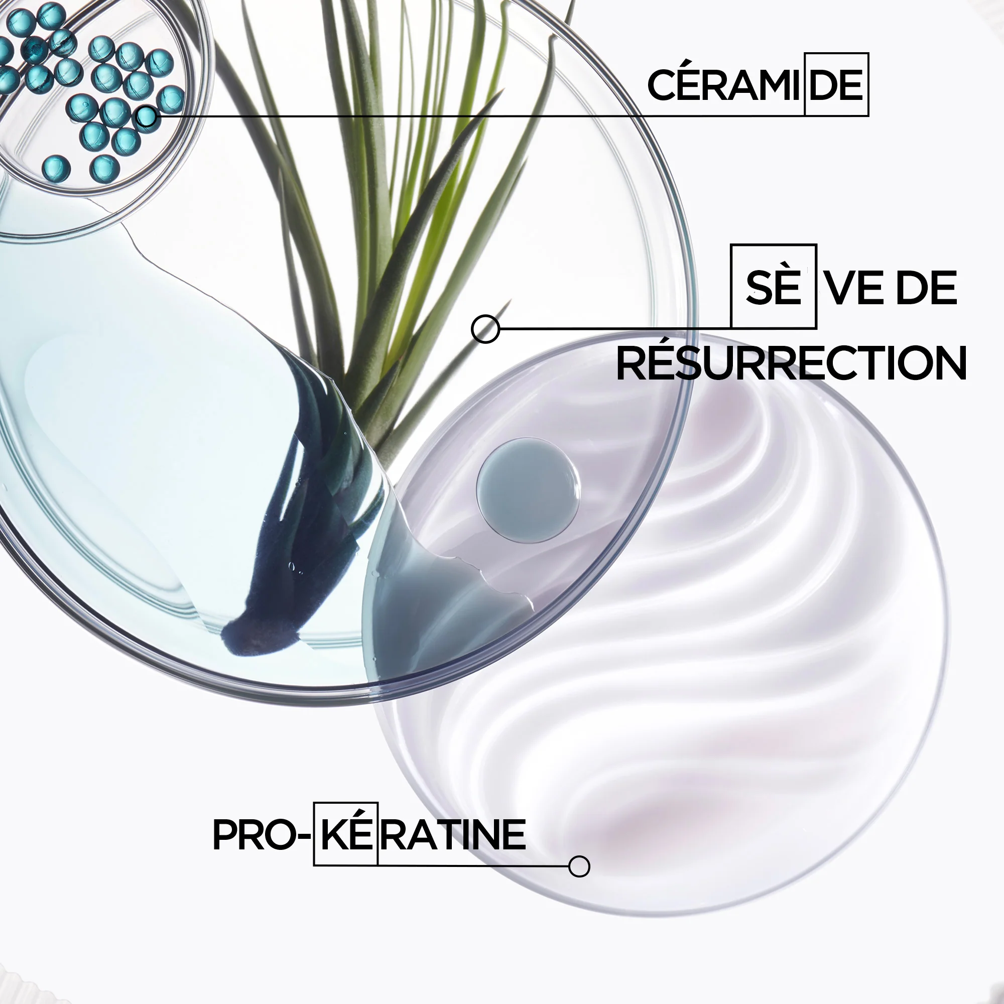 Masque Force Architecte Kérastase 200 ML - Image 3