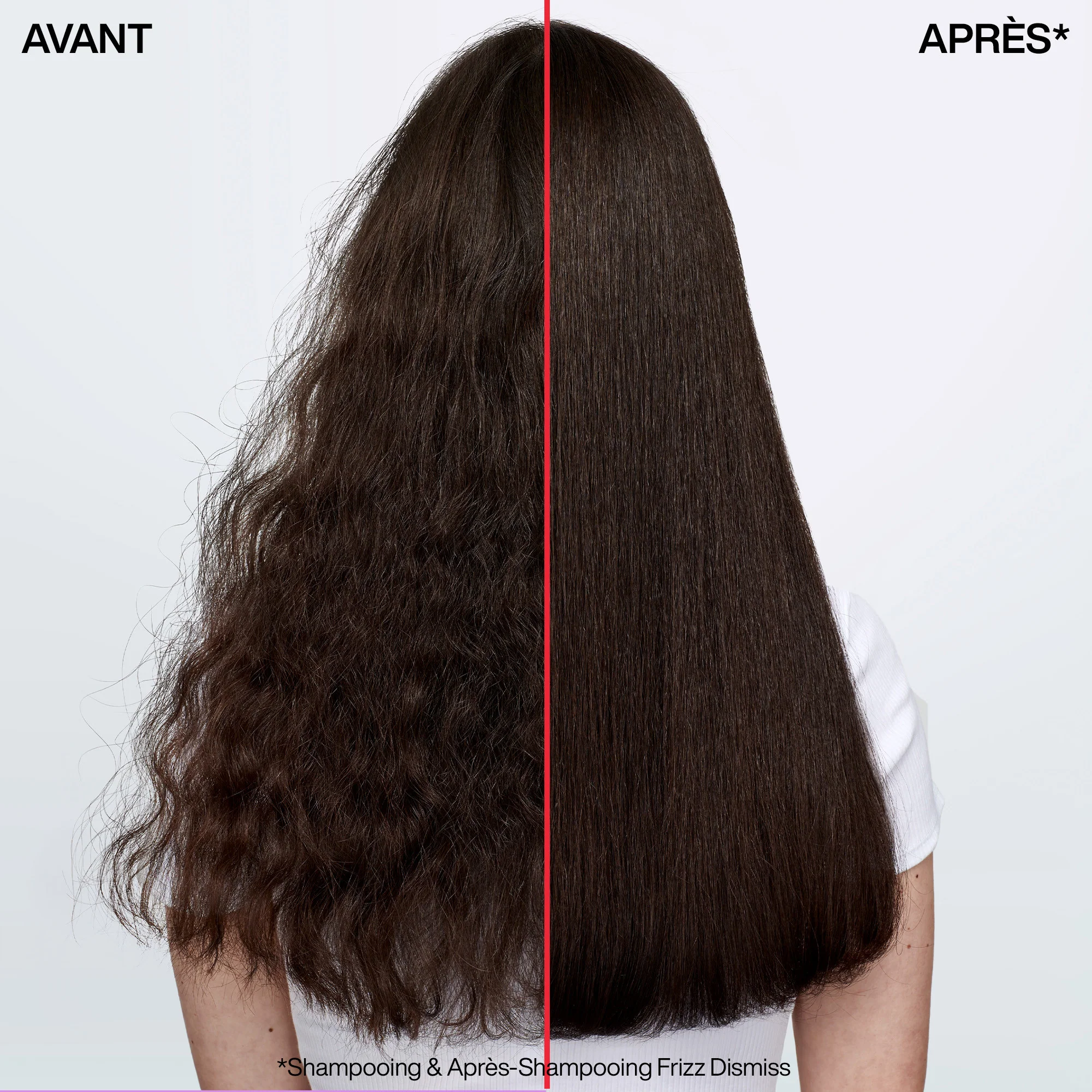 Shampoing Frizz Dismiss Redken 300 ML - Image 4