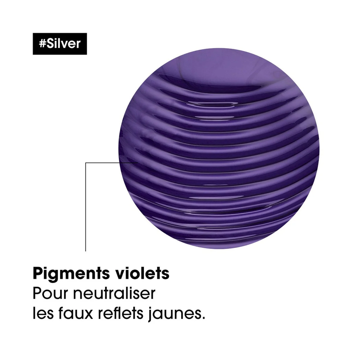 Shampoing Silver L'Oréal Professionnel 500 ML - Image 4